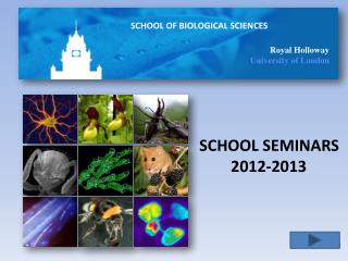 SCHOOL SEMINARS 2012-2013