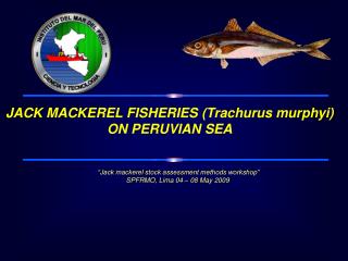 “Jack mackerel stock assessment methods workshop” SPFRMO, Lima 04 – 08 May 2009