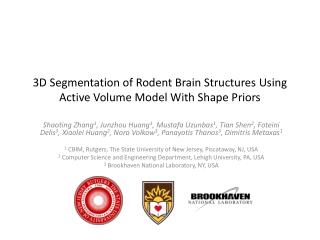 3D Segmentation of Rodent Brain Structures Using Active Volume Model With Shape Priors