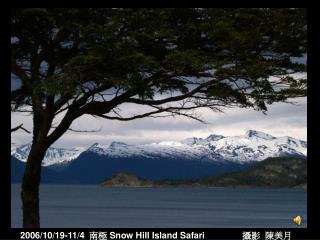 2006/10/19-11/4 南極 Snow Hill Island Safari 攝影 陳美月