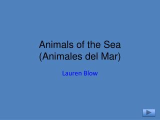 Animals of the Sea ( Animales del Mar)