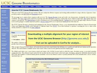 Go to the genome browser...