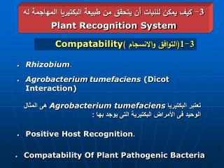 3- كيف يمكن للنبات أن يتحقق من طبيعة البكتيريا المهاجمة له Plant Recognition System