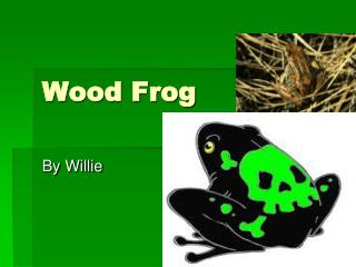 Wood Frog