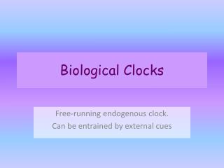 Biological Clocks