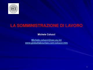 LA SOMMINISTRAZIONE DI LAVORO Michele Colucci Michele.colucci@cec.eut