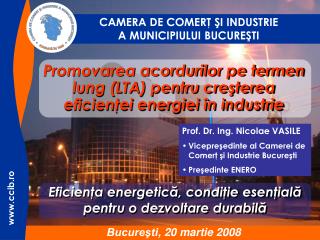 Promovarea acordurilor pe termen lung (LTA) pentru creşterea eficienţei energiei în industrie