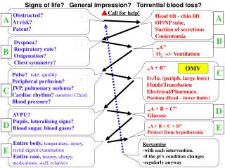 Pulse? rate, quality Peripheral perfusion? JVP, pulmonary oedema?