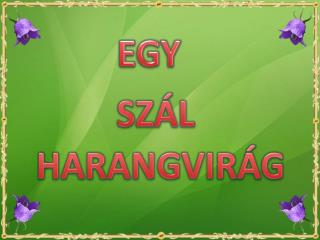 EGY