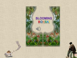 Blooming B o n s a i