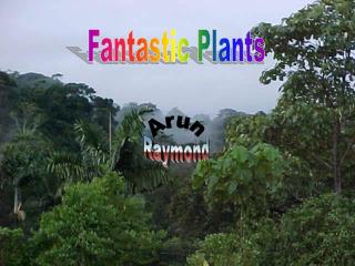 Fantastic Plants
