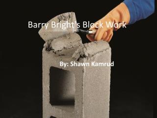 Barry Bright's Block Work
