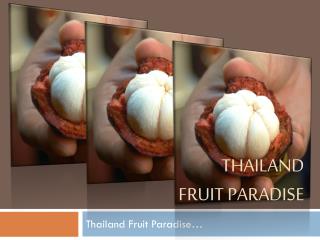 Thailand fruit paradise