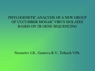 PHYLOGENETIC ANALYSIS OF A NEW GROUP OF CUCUMBER MOSAIC VIRUS ISOLATES BASED ON 2B GENE SEQUENCING