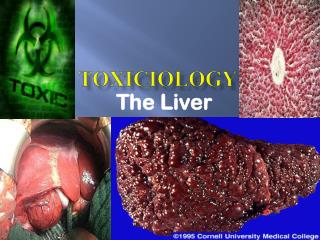 TOXICIOLOGY