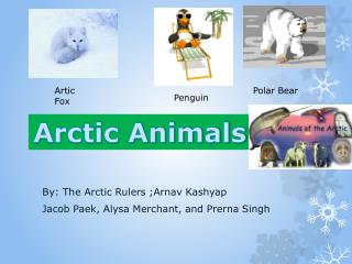 Arctic Animals