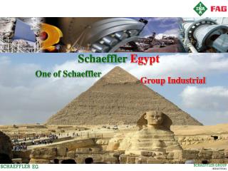 Schaeffler Egypt