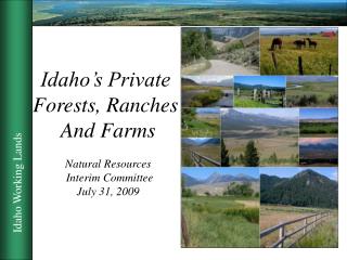 Idaho’s Private Forests, Ranches And Farms