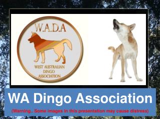 WA Dingo Association (Warning.. Some images in this presentation may cause distress)‏