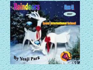 Reindeers