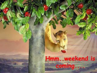 Hmm..weekend is coming....