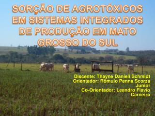 SORÇÃO DE AGROTÓXICOS EM SISTEMAS INTEGRADOS DE PRODUÇÃO EM MATO GROSSO DO SUL