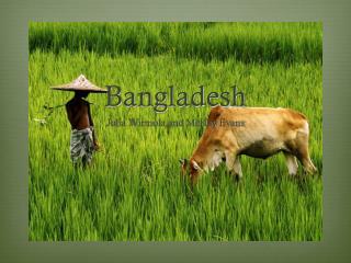 Bangladesh