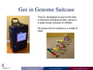 Gee in Genome Suitcase