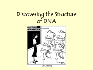 Discovering the Structure of DNA