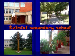 Žeimiai secondary school
