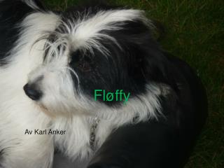 Fløffy