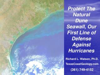 Protect The Natural Dune Seawall, Our First Line of Defense Against Hurricanes
