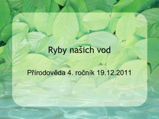 Ryby našich vod