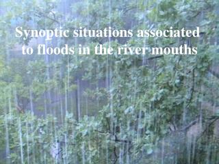 Synoptic situations associated to floods in the river mouths