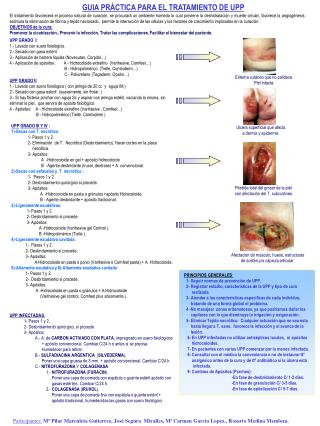 GUIA PRÁCTICA PARA EL TRATAMIENTO DE UPP