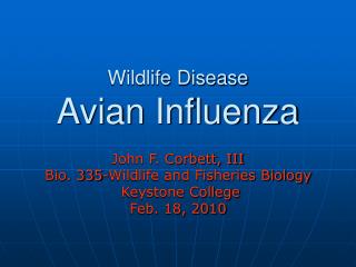 Wildlife Disease Avian Influenza