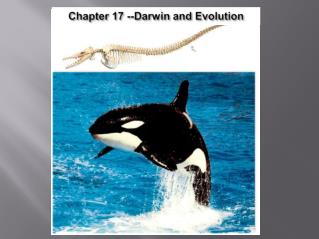 Chapter 17 -- Darwin and Evolution