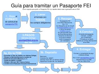 Bajar el FORMATO de solicitud de pasaporte FEI