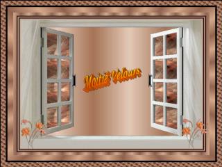 Moitié Velours