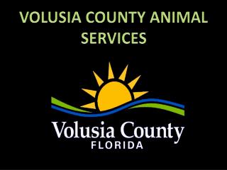 VOLUSIA COUNTY ANIMAL SERVICES