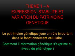 THEME 1 – A EXPRESSION, STABILITE ET VARIATION DU PATRIMOINE GENETIQUE