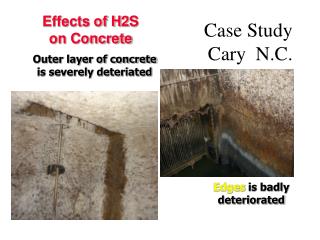Case Study Cary N.C.