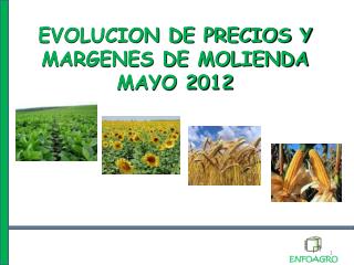 EVOLUCION DE PRECIOS Y MARGENES DE MOLIENDA MAYO 2012