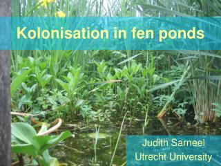 Kolonisation in fen ponds