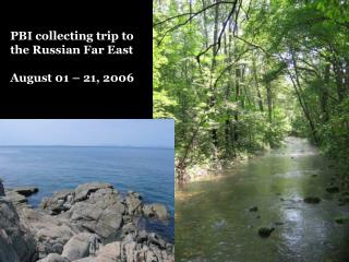 PBI collecting trip to the Russian Far East August 01 – 21, 2006