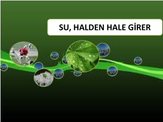 Atmosferde yükselen buhar soğuk hava tabakasıyla