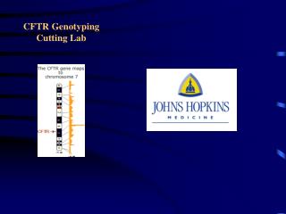 CFTR Genotyping Cutting Lab