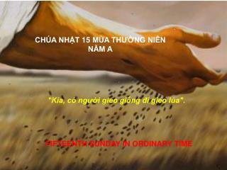 CHÚA NHẬT 15 MÙA THƯỜNG NIÊN NĂM A