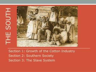 Section 1: Growth of the Cotton Industry Section 2: Southern Society Section 3: The Slave System