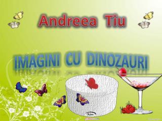 Andreea Tiu